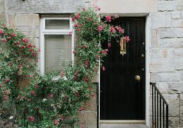 Get to know your neighbors