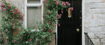 Get to know your neighbors