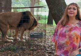 carol baskin being interviewed near a caged tiger