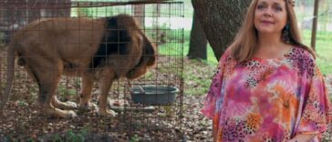 carol baskin being interviewed near a caged tiger