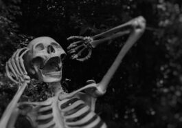The Most Halloween Decorations in America, and Which States Decorate Most